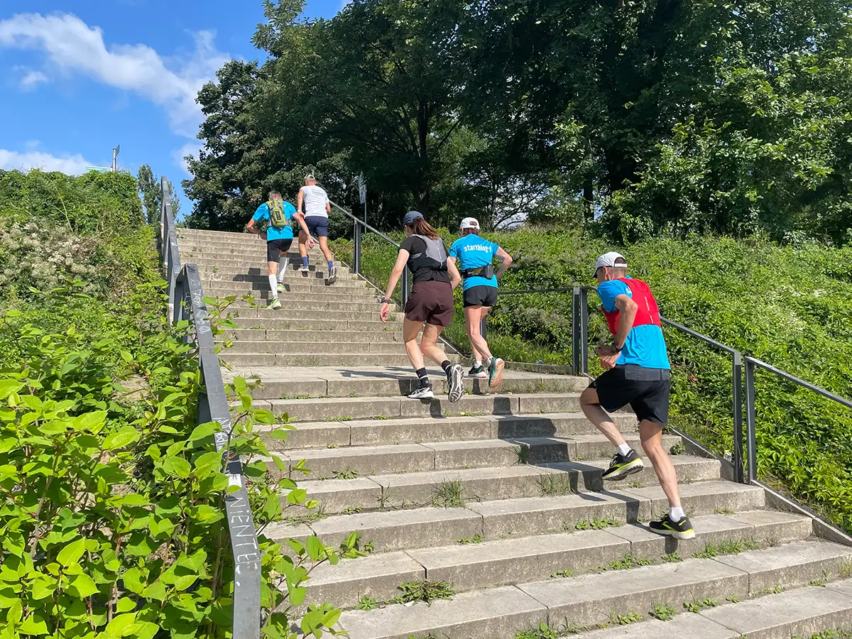 5 Läuferinnen und Läufer laufen eine lange Treppe in einem Park hinauf