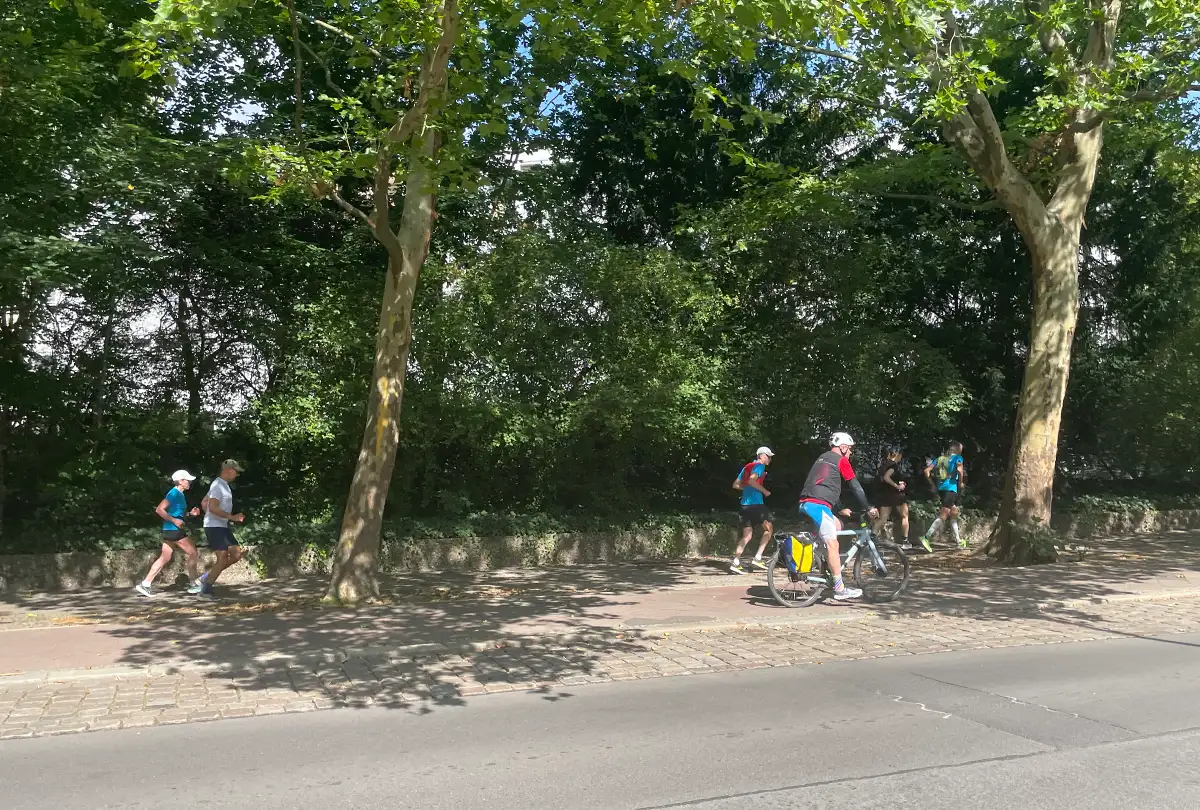 Laufgruppe mit Radbegleiter in einer Reihe an einer Straße unter Bäumen