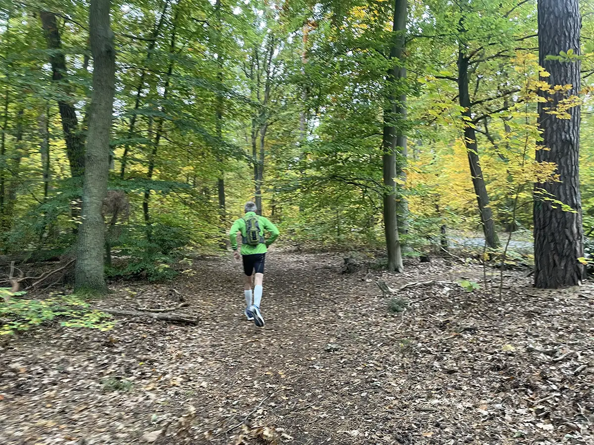 Läufer im Wald mit Herbstlaub