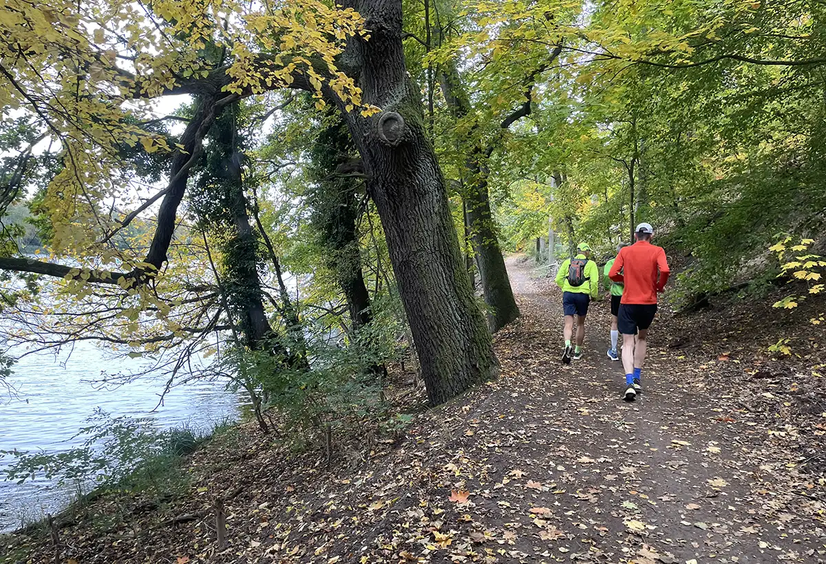 Laufgruppe läuft auf einem Waldpfad entlang eines Sees