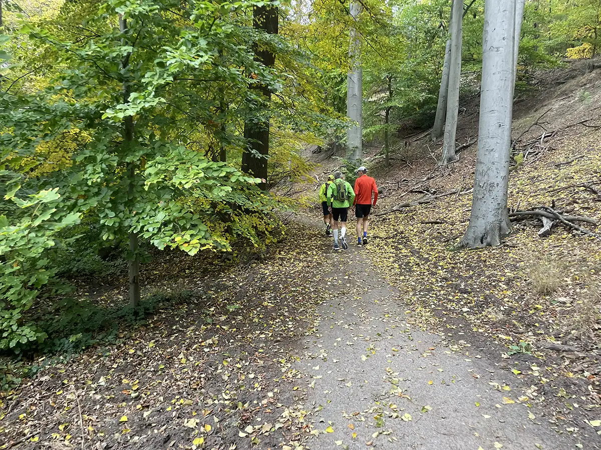 3 Läufer auf einem Waldpfad