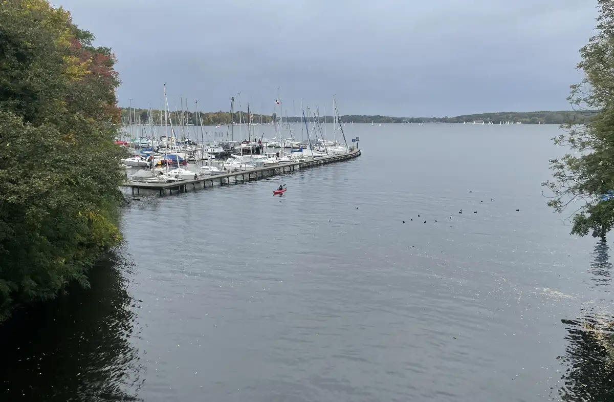 Wannsee mit Bootsanlegestelle und vielen weißen Segelbooten