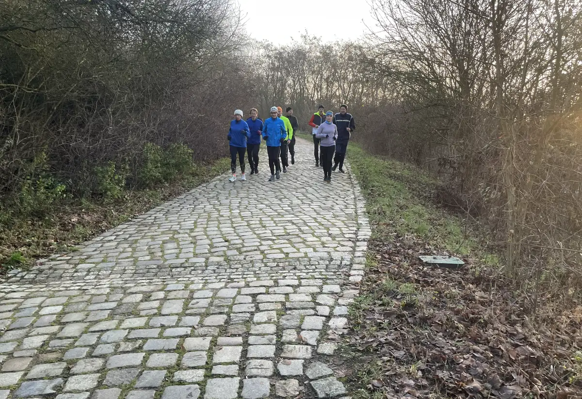 Laufgruppe auf einem Kopfsteinpflaster-Weg im Park
