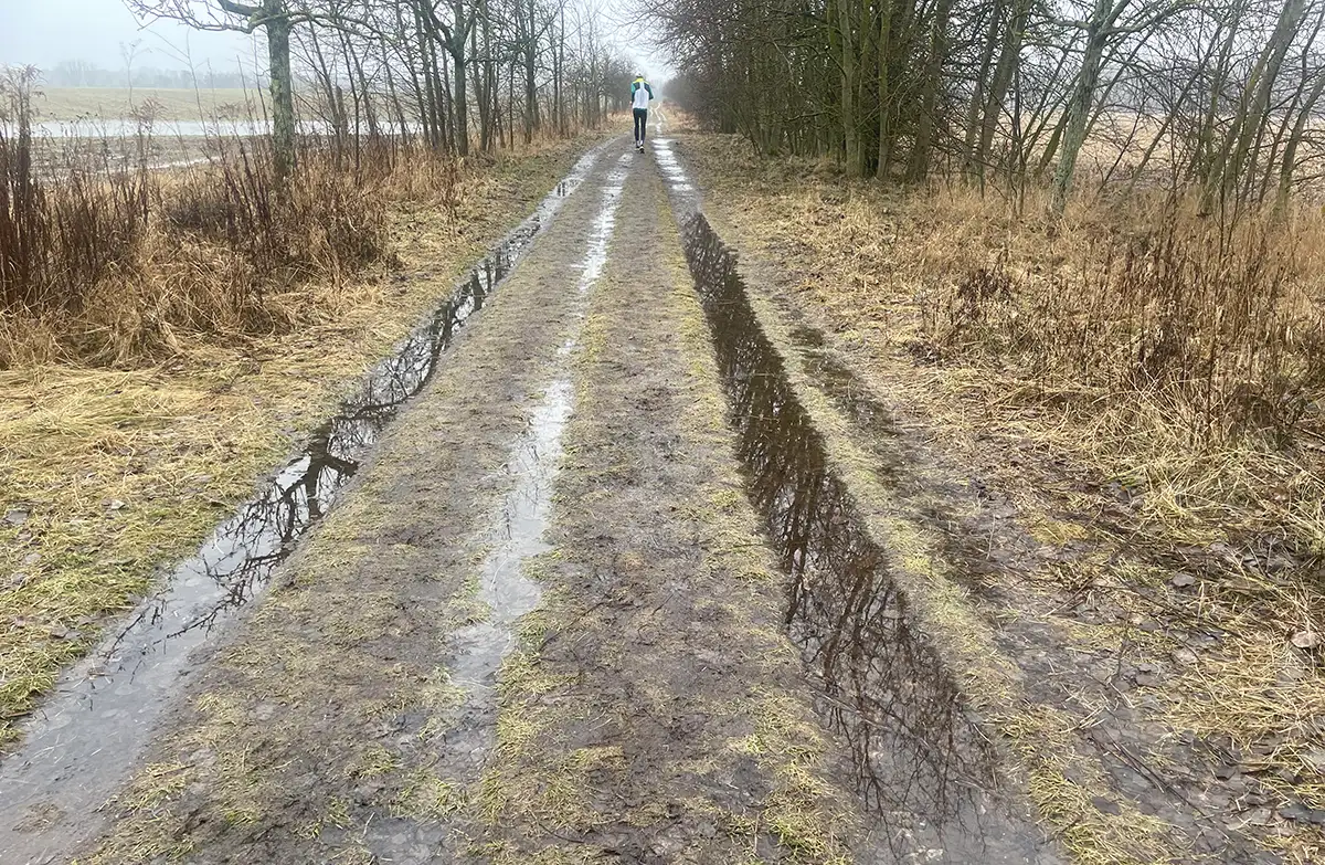 Drei Wasserstreifen, wo früher die drei Trampelpfad-Rinnen waren