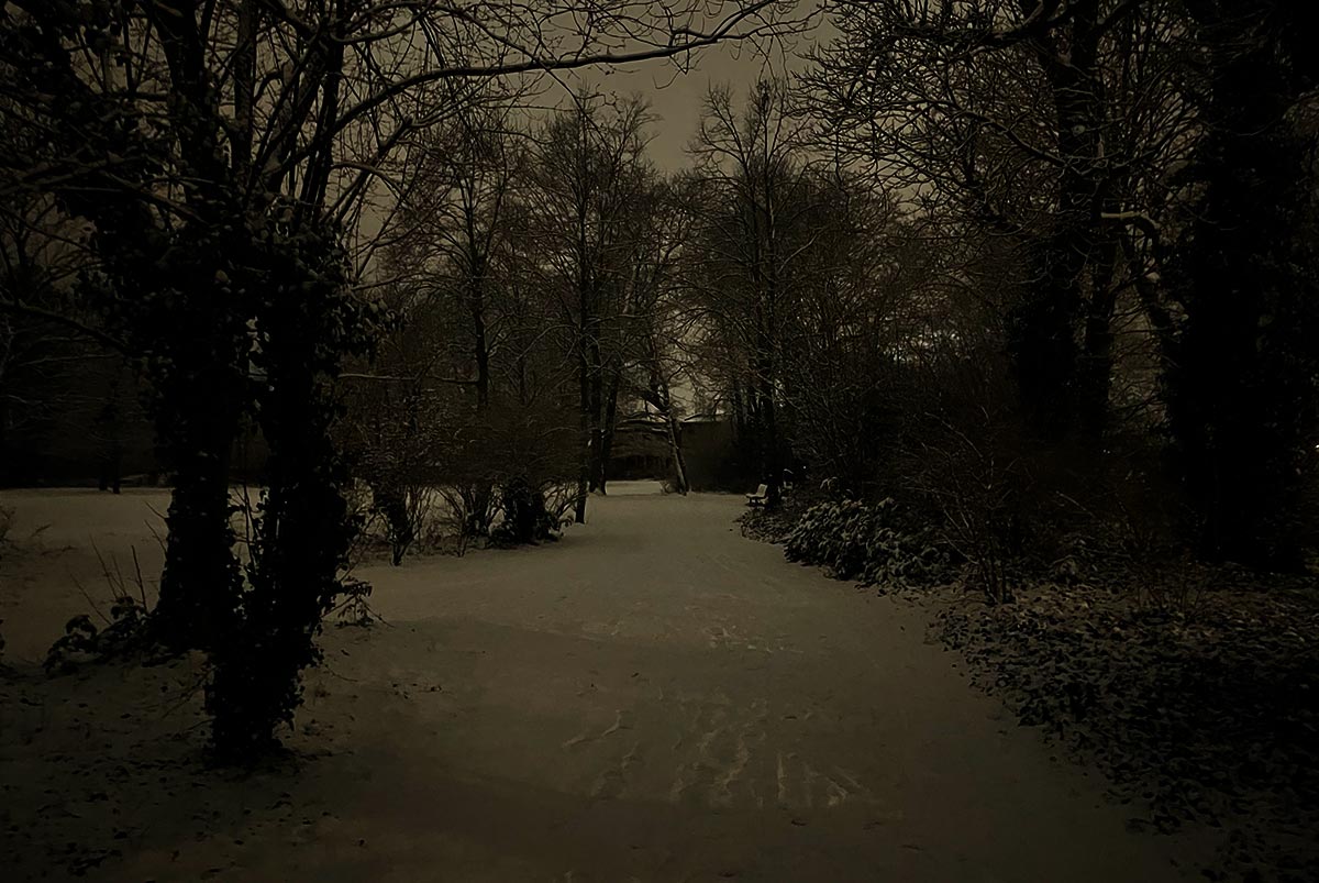 Parklandschaft im Dunkeln, nur etwas erleuchtet durch den weißen Schnee