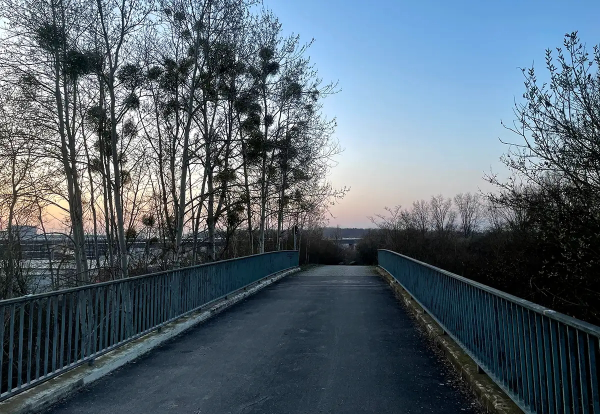 Brücke im Morgengrauen, Bäume mit Misteln am Rand