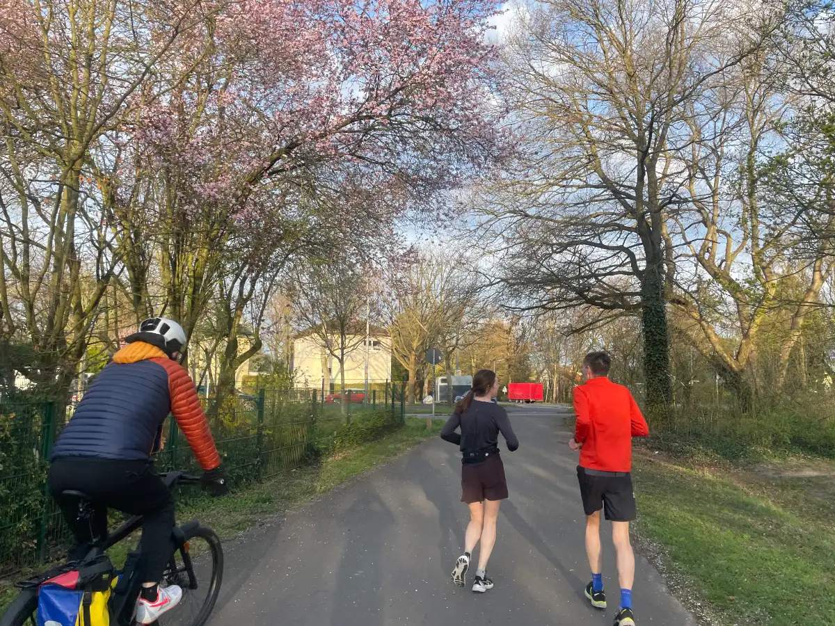 Läuferin, Läufer und Radbegleiter auf einem Parkweg mit rosa blühendem Baum