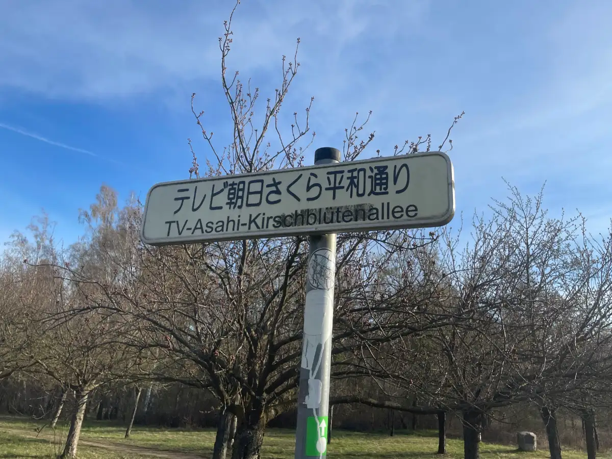 Schild TV-Asahi-Kirschblütenallee