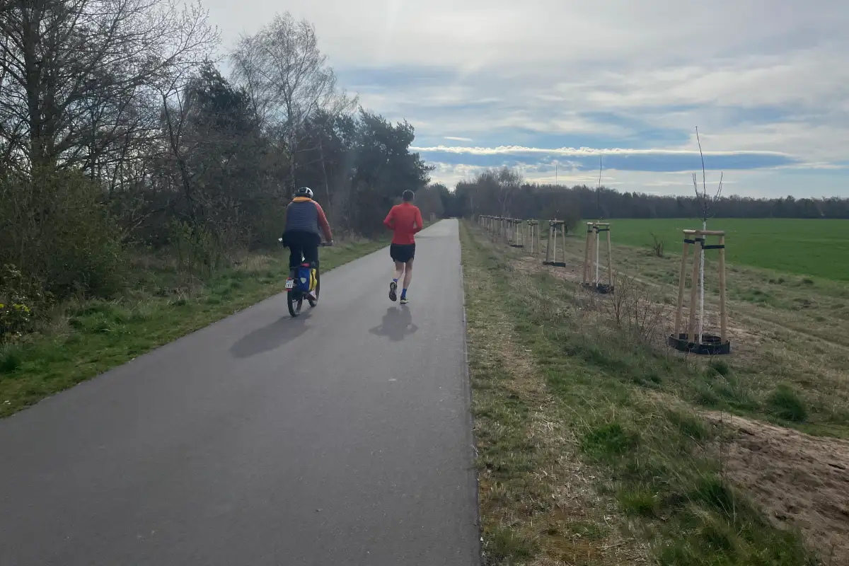 Läufer und Radbegleiter auf dem Mauerweg, am Rand frisch gepflanzte Bäume
