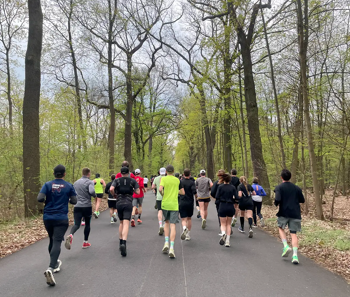 Läuferfeld auf breitem asphaltierten Weg im Wald