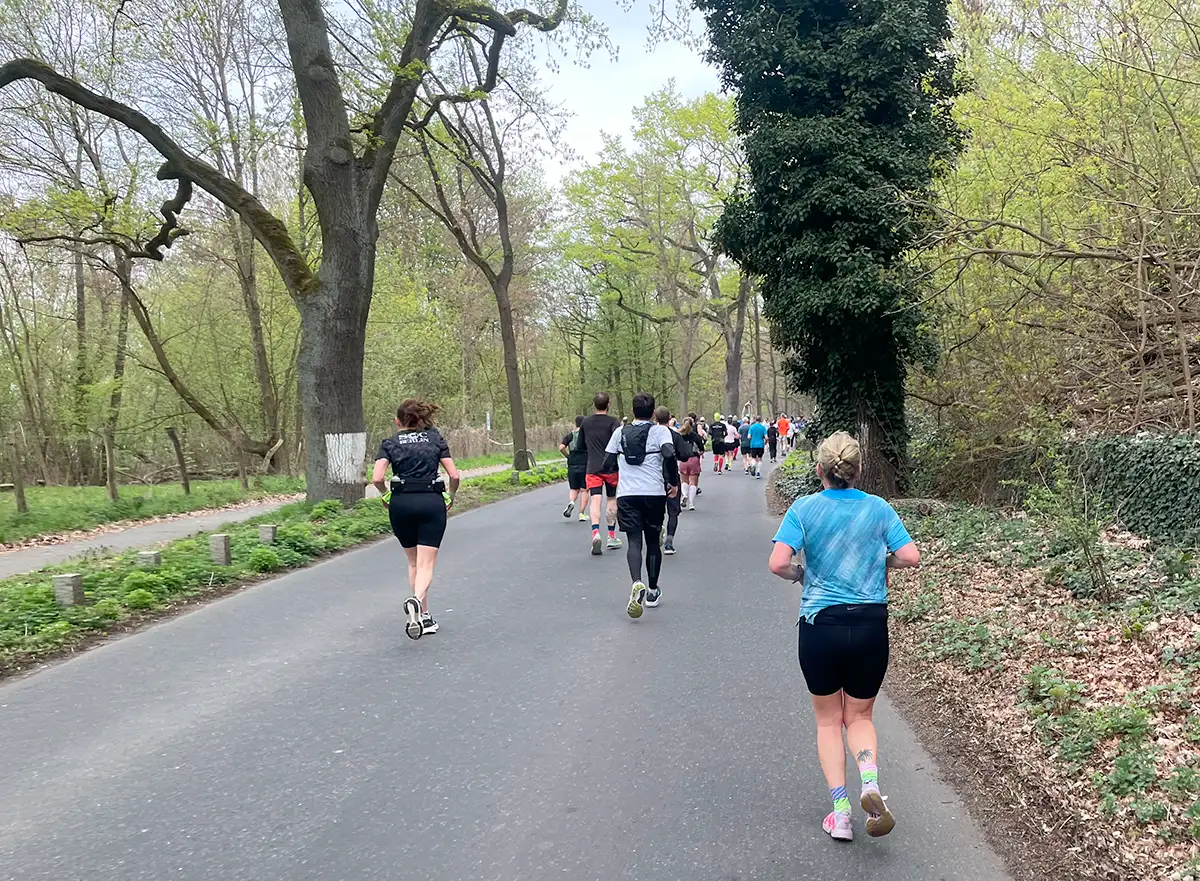 Läuferfeld auf Havelchaussee