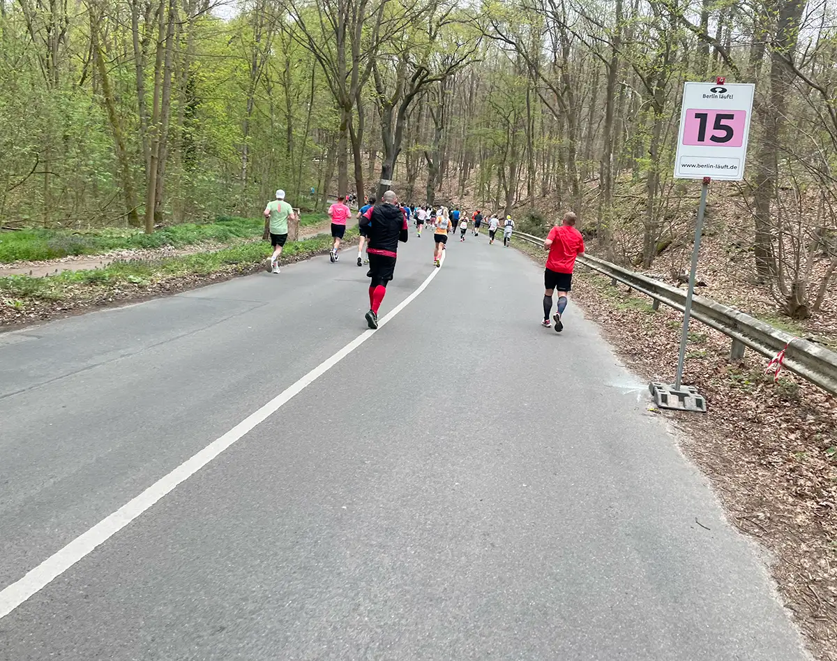 Kilometerschild 15 am Straßenrand dahinter zieht sich die Straße in einem Bogen hoch