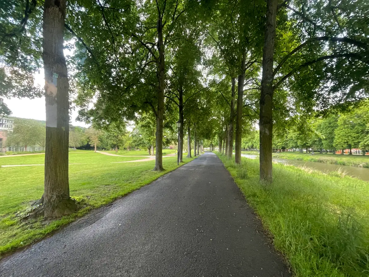 Asphaltierter baumgesäumter Weg entlang der Ahr