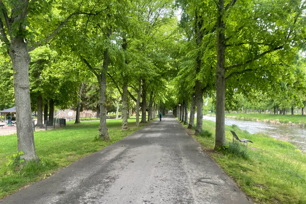 Kleine Allee neben der Ahr
