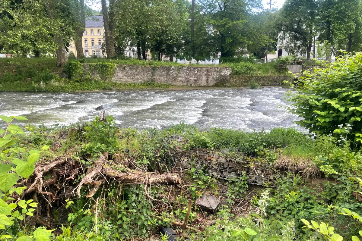 Wasserstrudel auf der Ahr