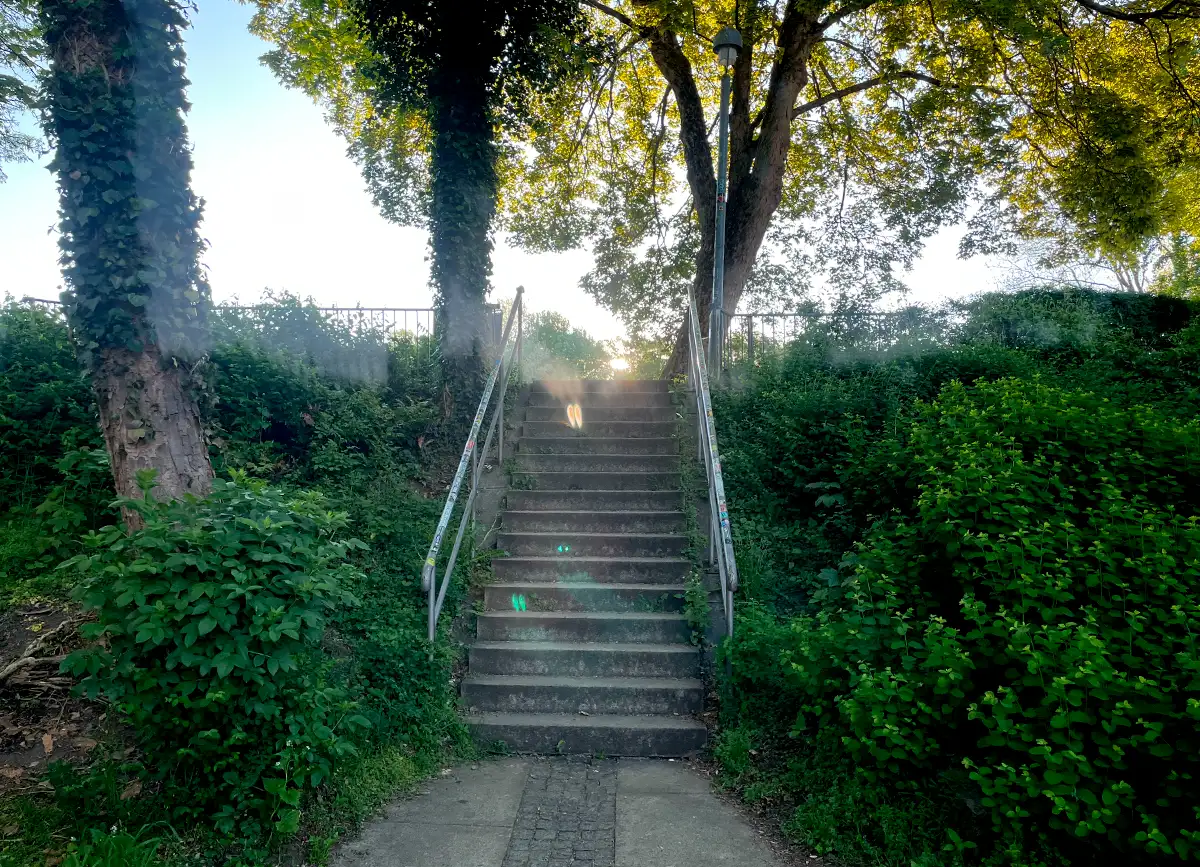 Treppe zwischen Büschen und Bäumen, oben scheint die Morgensonne durch die Bäume
