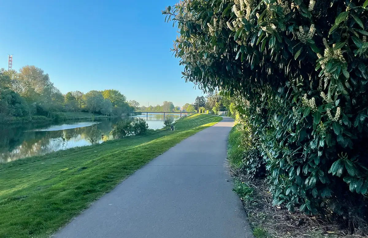 Asphaltierter Weg entlang einer Wiese am Wasser