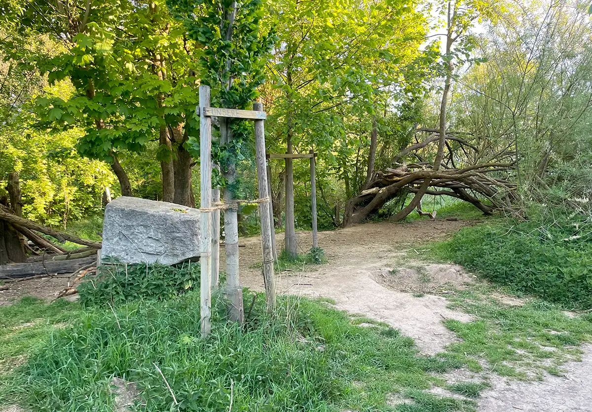 Wildnis mit großem Stein