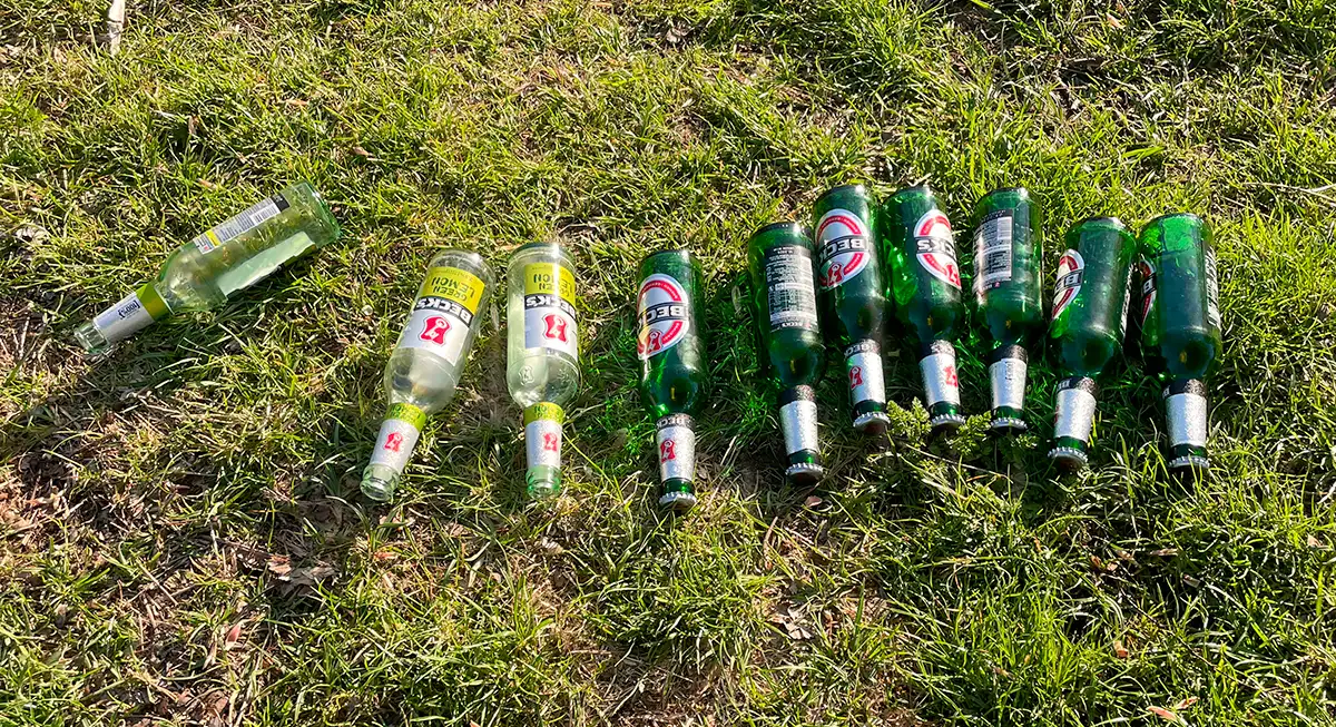 10 Flaschen Becks-Bier liegen nebeneinander auf einer Wiese