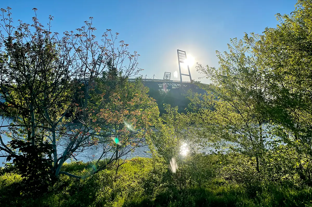 Weserstadion im Gegenlicht der Morgensonne, vorne Ufer mit Büschen und Sträuchern