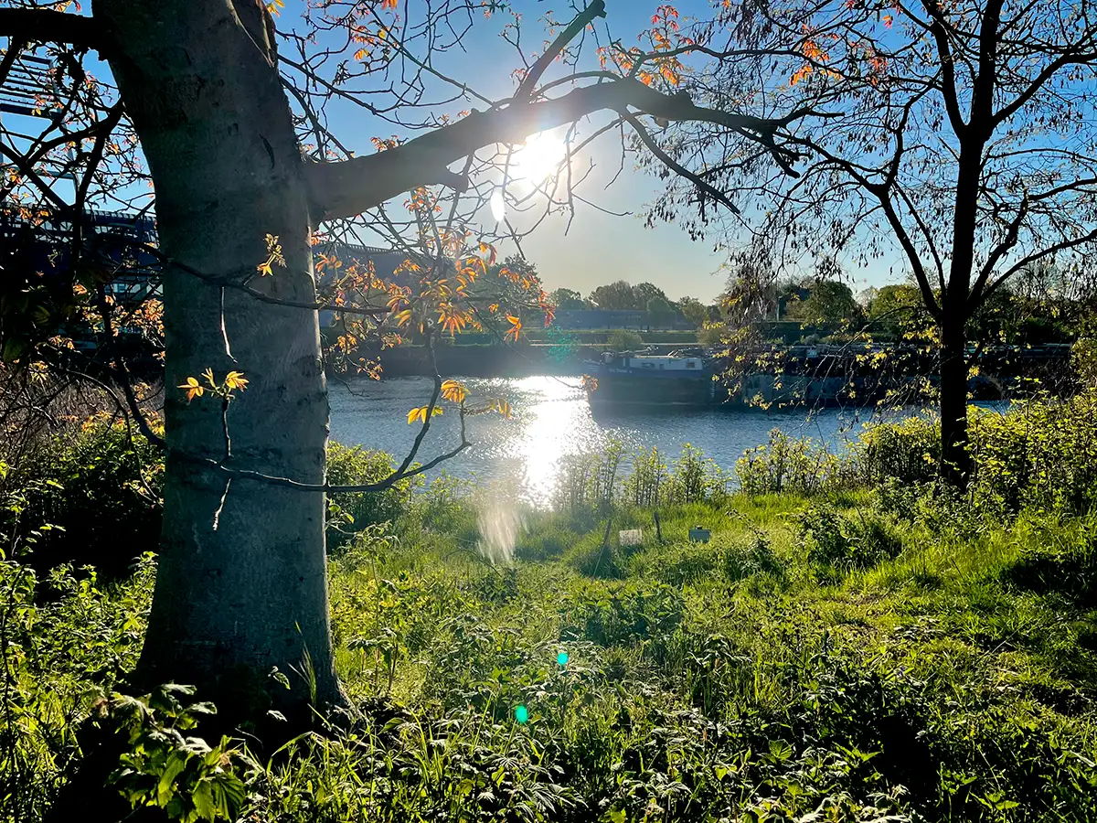 Blick auf die Weser mit einem Binnenschiff im Gegenlicht