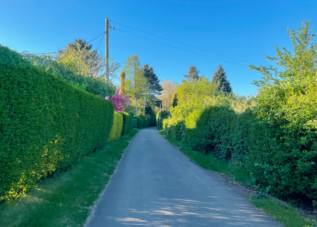 Weg durch eine Kleingarten-Anlage
