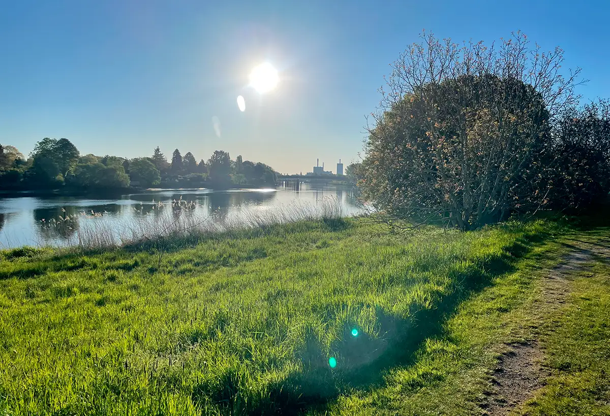 Blick über die Weser mit Morgensonne