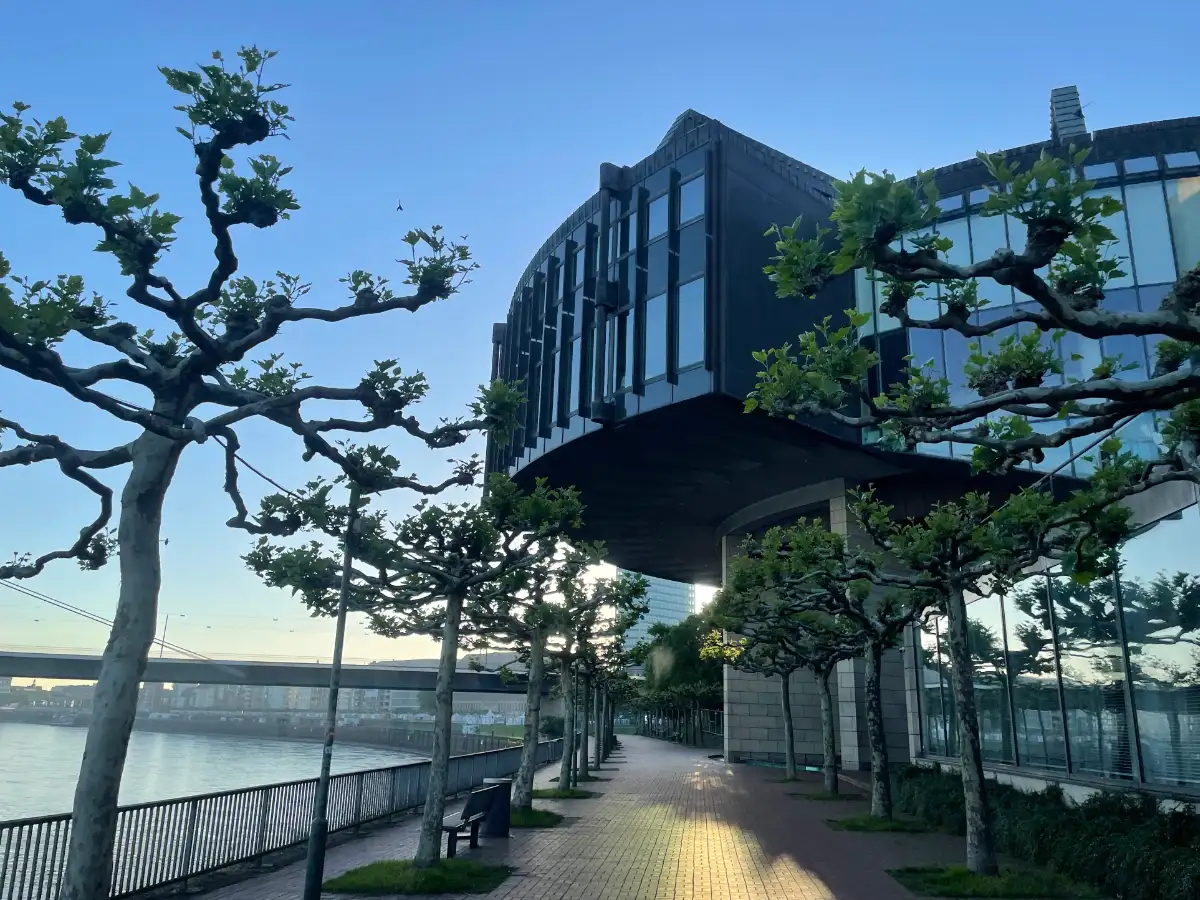 Promenade mit Platanen und Landtagsgebäude