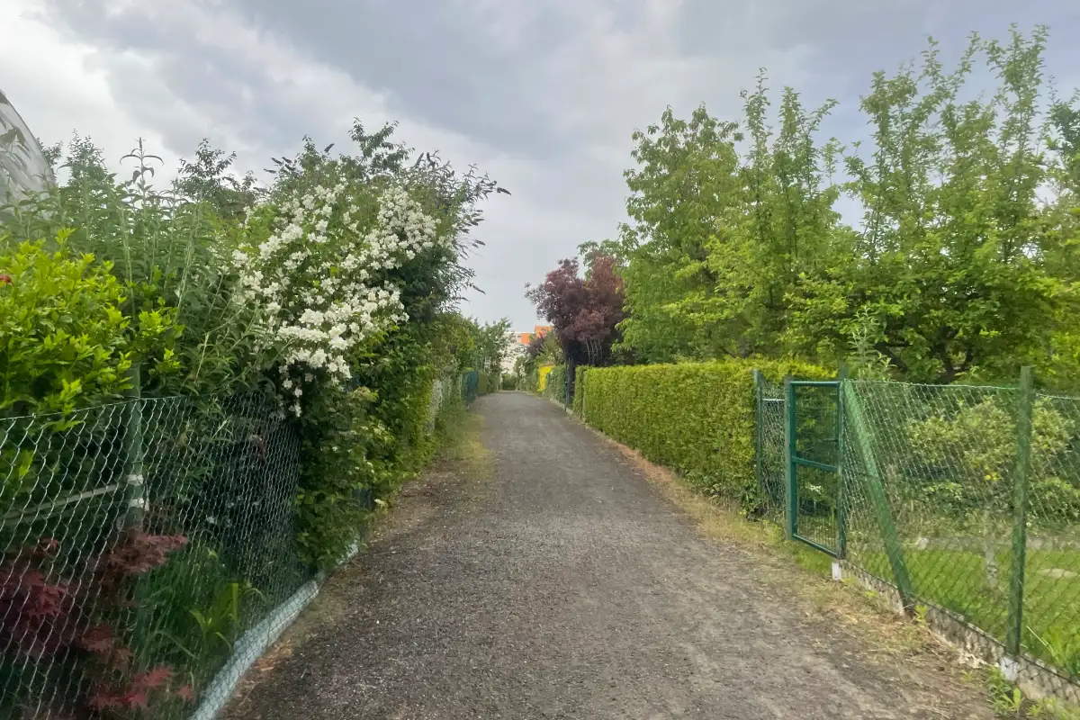 Weg in einer Kleingartenanlage