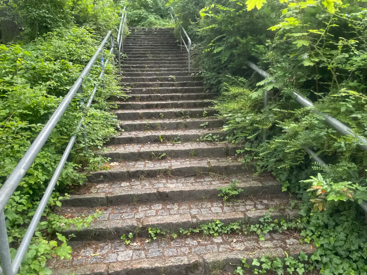Viele Treppenstufen mit dichter gründer Vegetation links und rechts