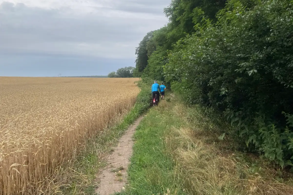 Läufer und Fahrradbegleiter auf einem schmalen Trampelpfad zwischen Getreidefeld und Wald