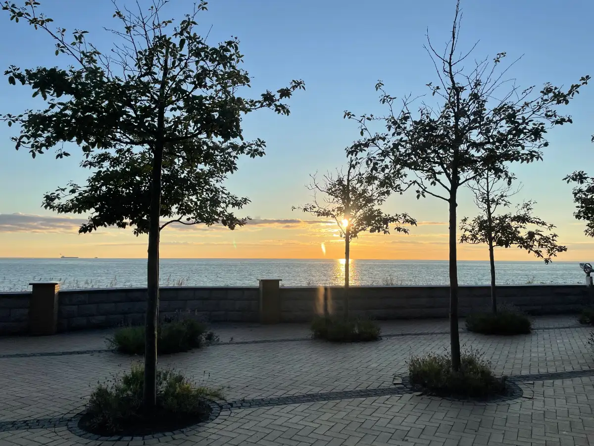 Sonnenaufgang über der Ostsee, im Vordergrund kleine Bäume auf der Promenade