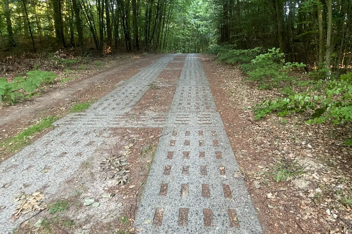 Betonplattenweg durch den Wald