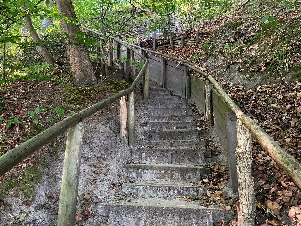 Treppe mit vielen Stufen und Holzgeländer hinauf zum Hochufer