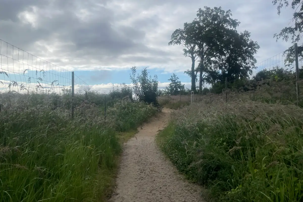 Sandweg am Hochufer