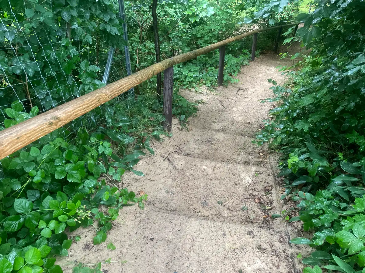 Sandige Treppe mit Holzgeländer