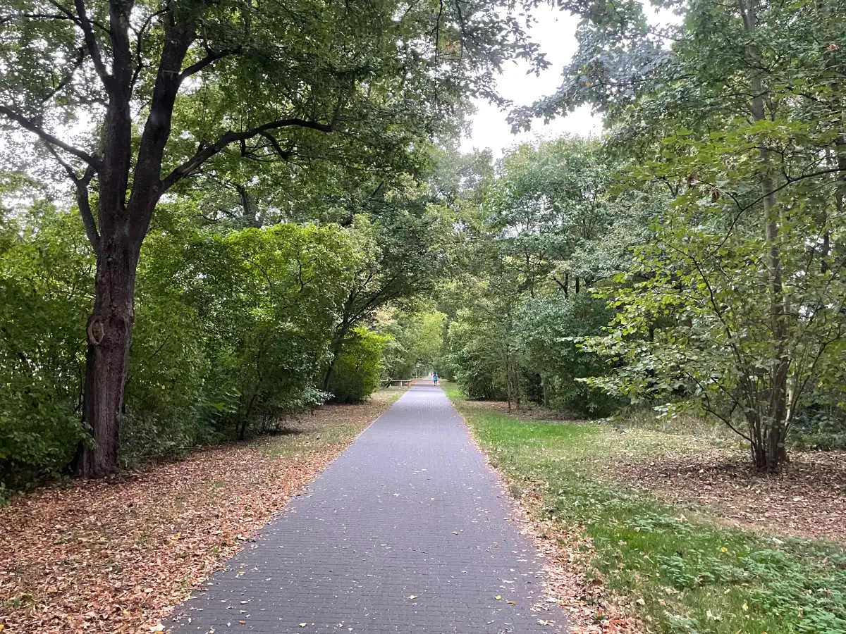 Gepflasterter Weg in Grünanlage
