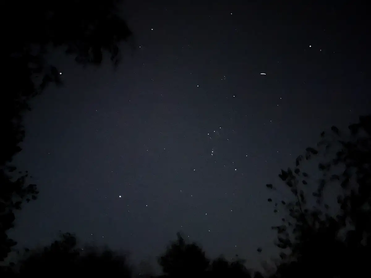 Dunkler Himmel mit Sternenleuchten eingerahmt von den Schatten der umstehenden Bäume